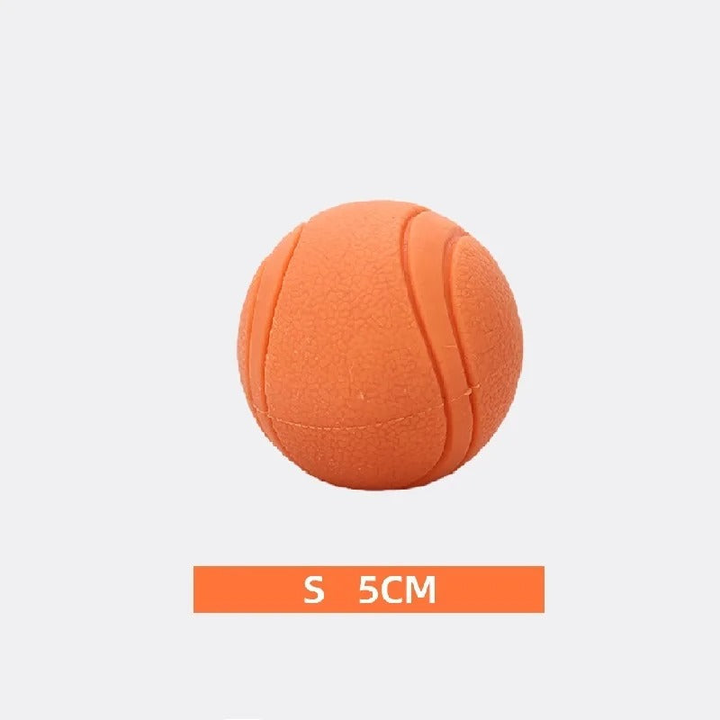 Elastic Dog Ball