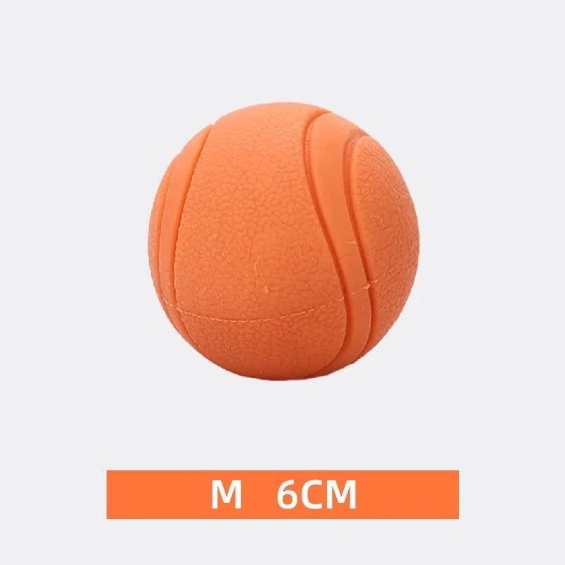 Elastic Dog Ball