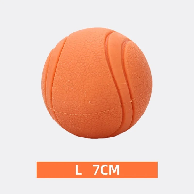 Elastic Dog Ball