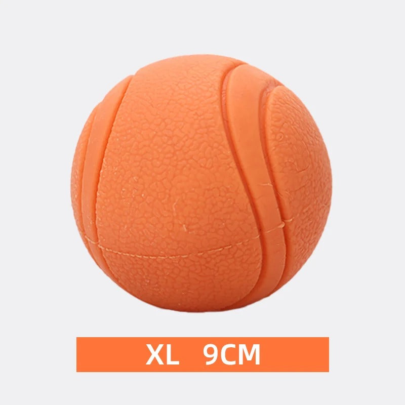 Elastic Dog Ball