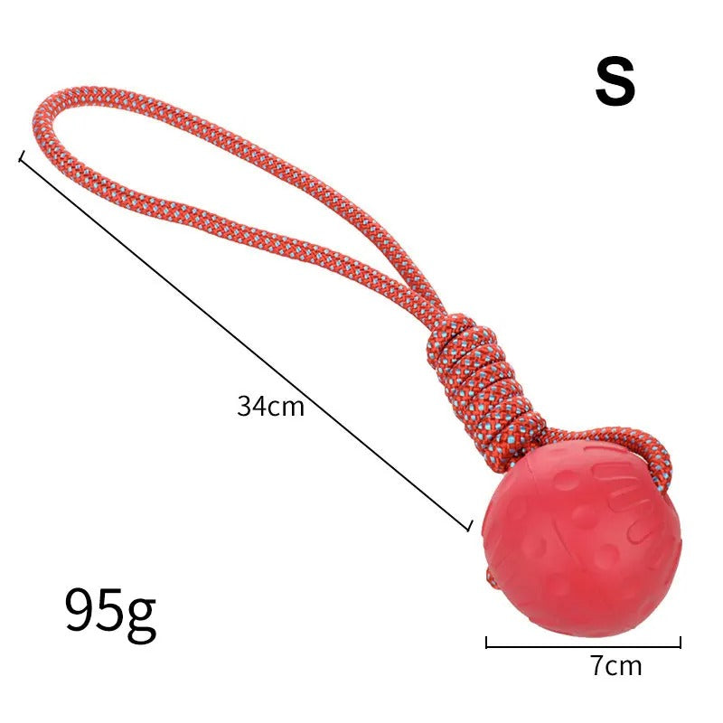 Elastic Dog Ball