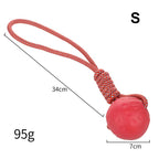 Elastic Dog Ball