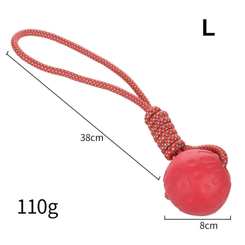 Elastic Dog Ball