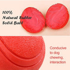 Elastic Dog Ball