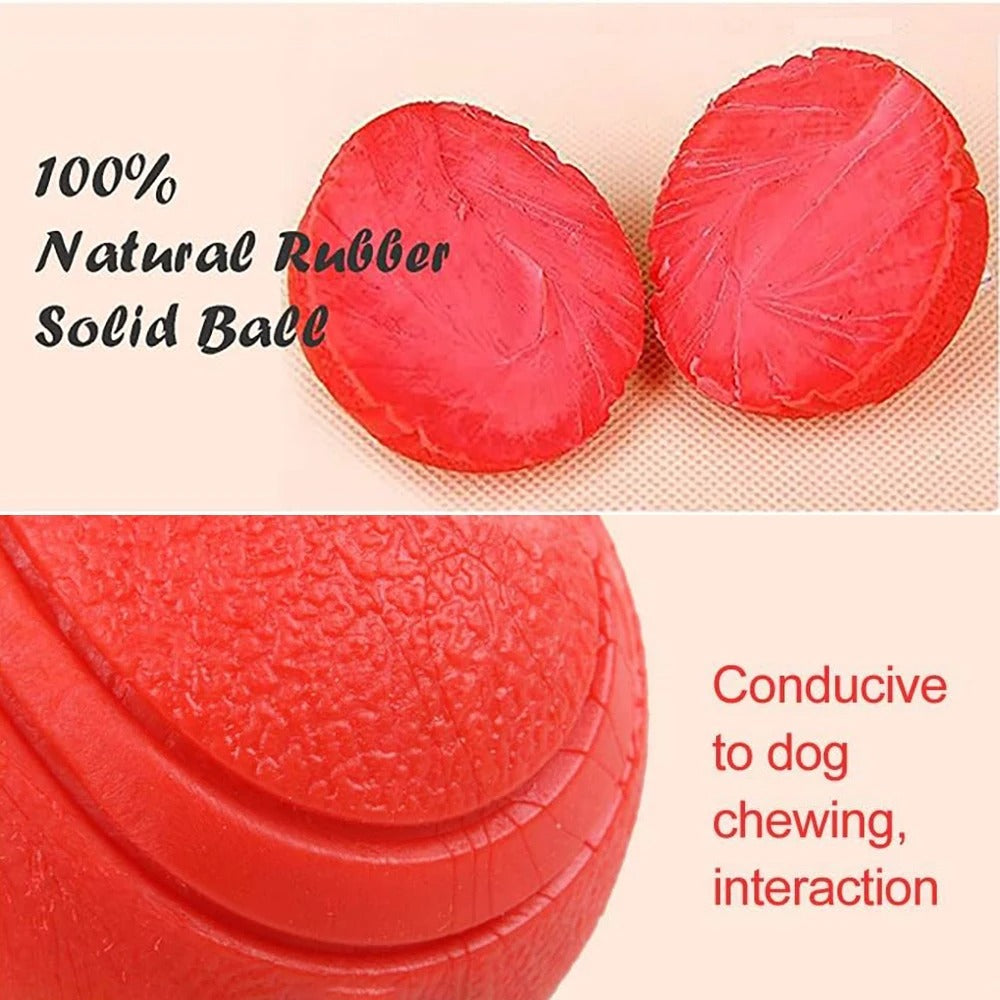 Elastic Dog Ball