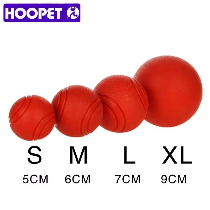 Elastic Dog Ball
