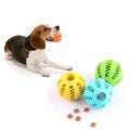 Pet Feeder Ball