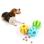 Pet Feeder Ball
