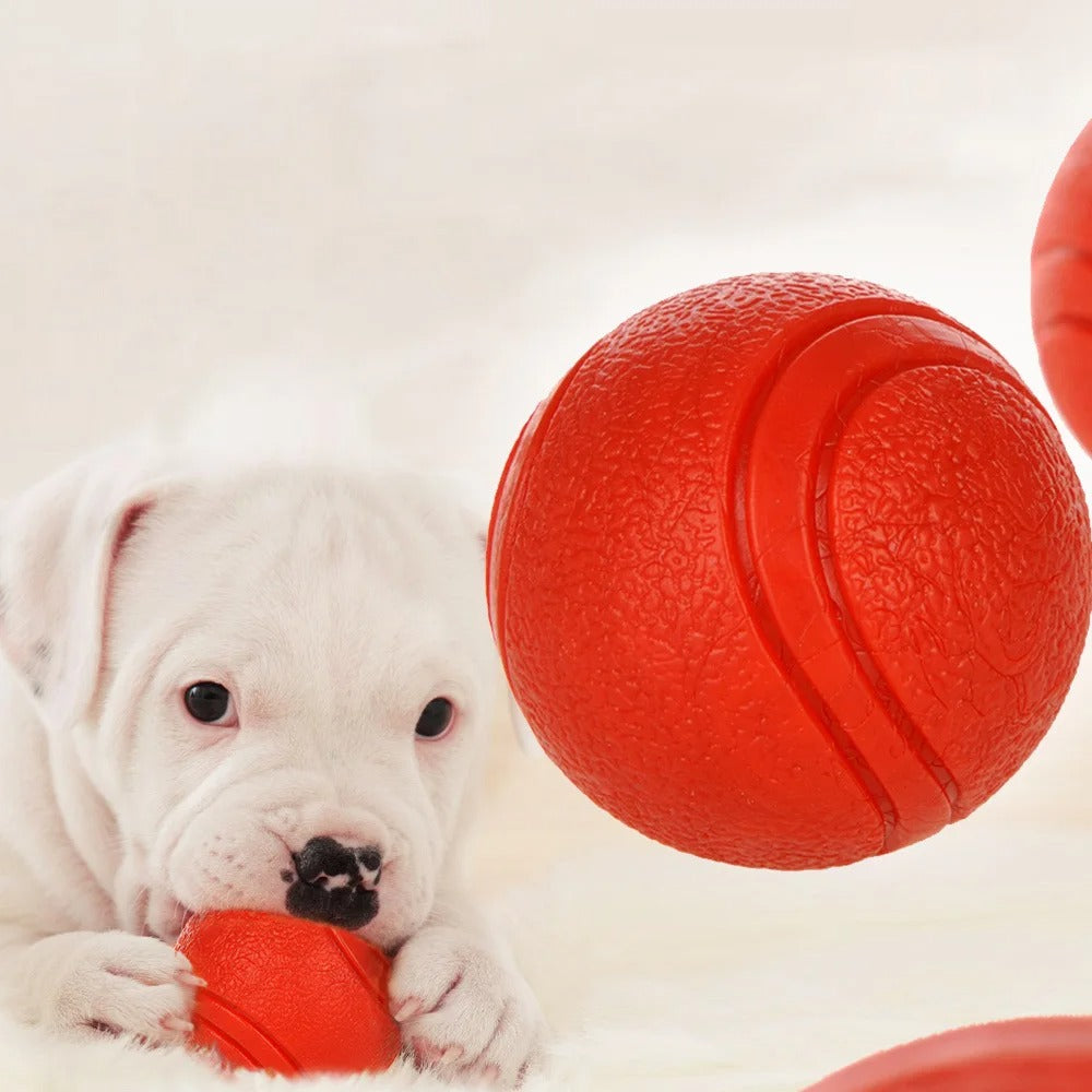 Elastic Dog Ball