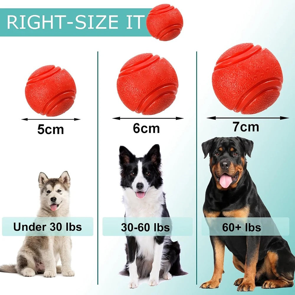 Elastic Dog Ball