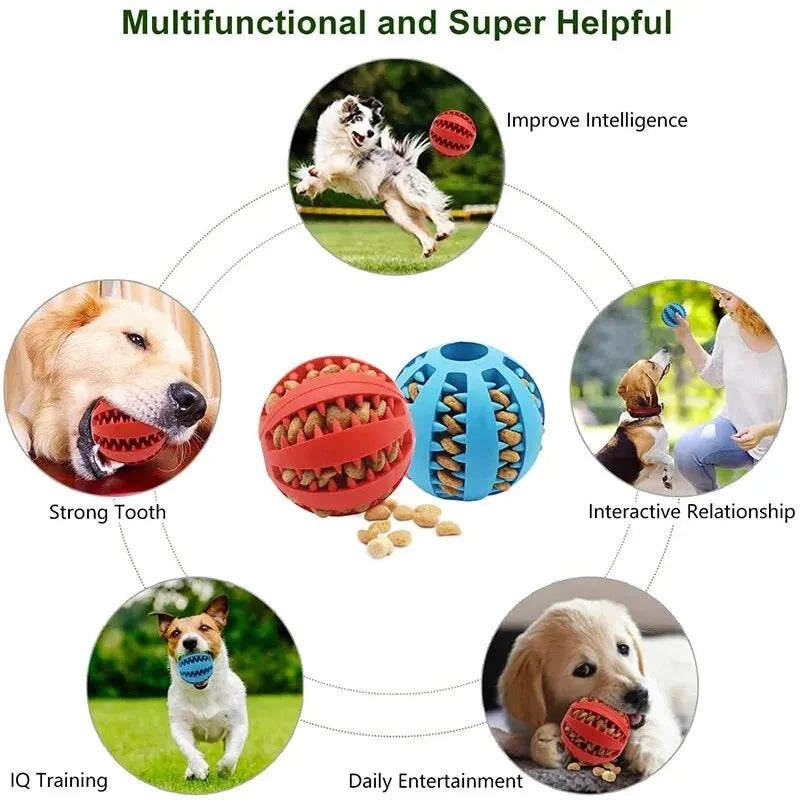 Pet Feeder Ball