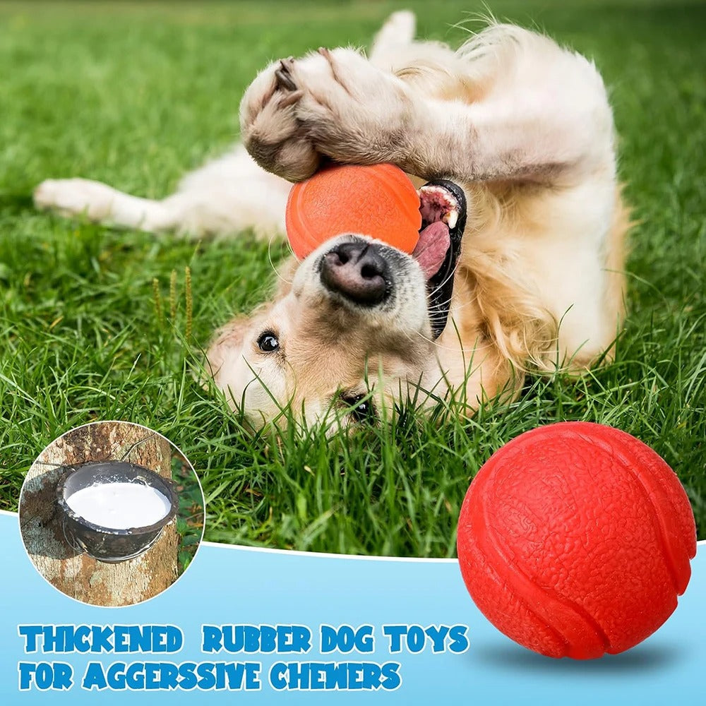 Elastic Dog Ball