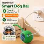 Automatic Rolling Puppy Ball