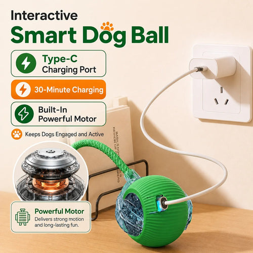 Automatic Rolling Puppy Ball