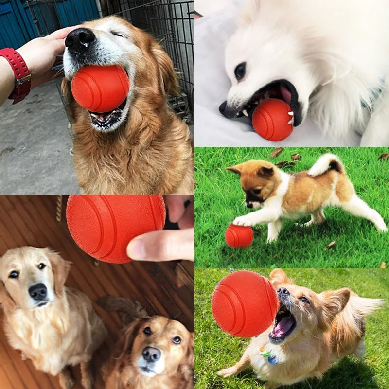Elastic Dog Ball