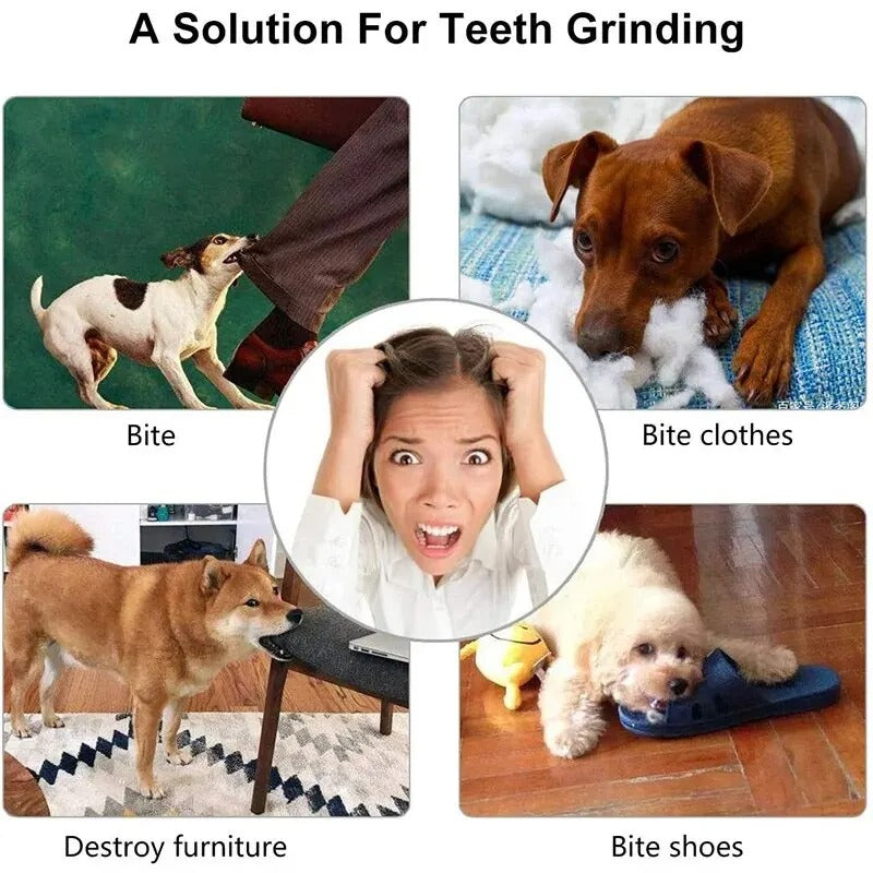Pet Feeder Ball