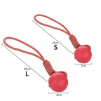 Elastic Dog Ball