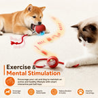 Automatic Rolling Puppy Ball