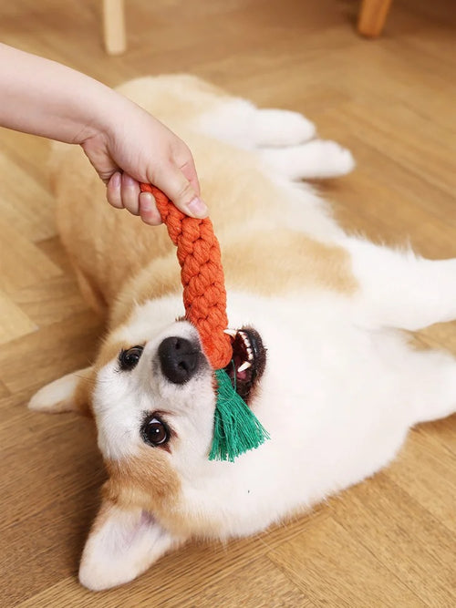 Carrot Cotton Rope