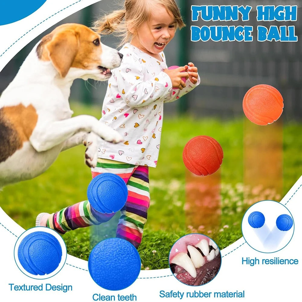 Elastic Dog Ball