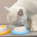 Anxiety Relief Lick Toy (Dogs & Cats)