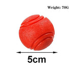 Elastic Dog Ball