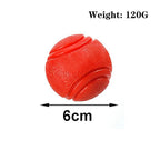 Elastic Dog Ball